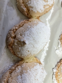 Biscuit Cuillère<